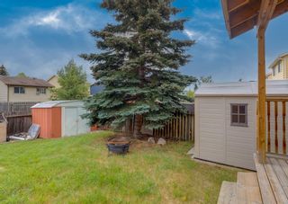 Photo 25: 156 Erin Dale Crescent SE in Calgary: Erin Woods Detached for sale : MLS®# A1245707