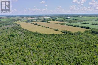 Photo 11: 0 KENTSONE BEACH ROAD Road in Bobcaygeon: Vacant Land for sale : MLS®# 40461906