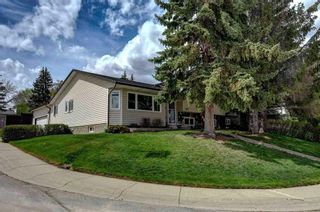 Main Photo: 203 Norfolk Road NW in Calgary: North Haven Upper Detached for sale : MLS®# A2129848