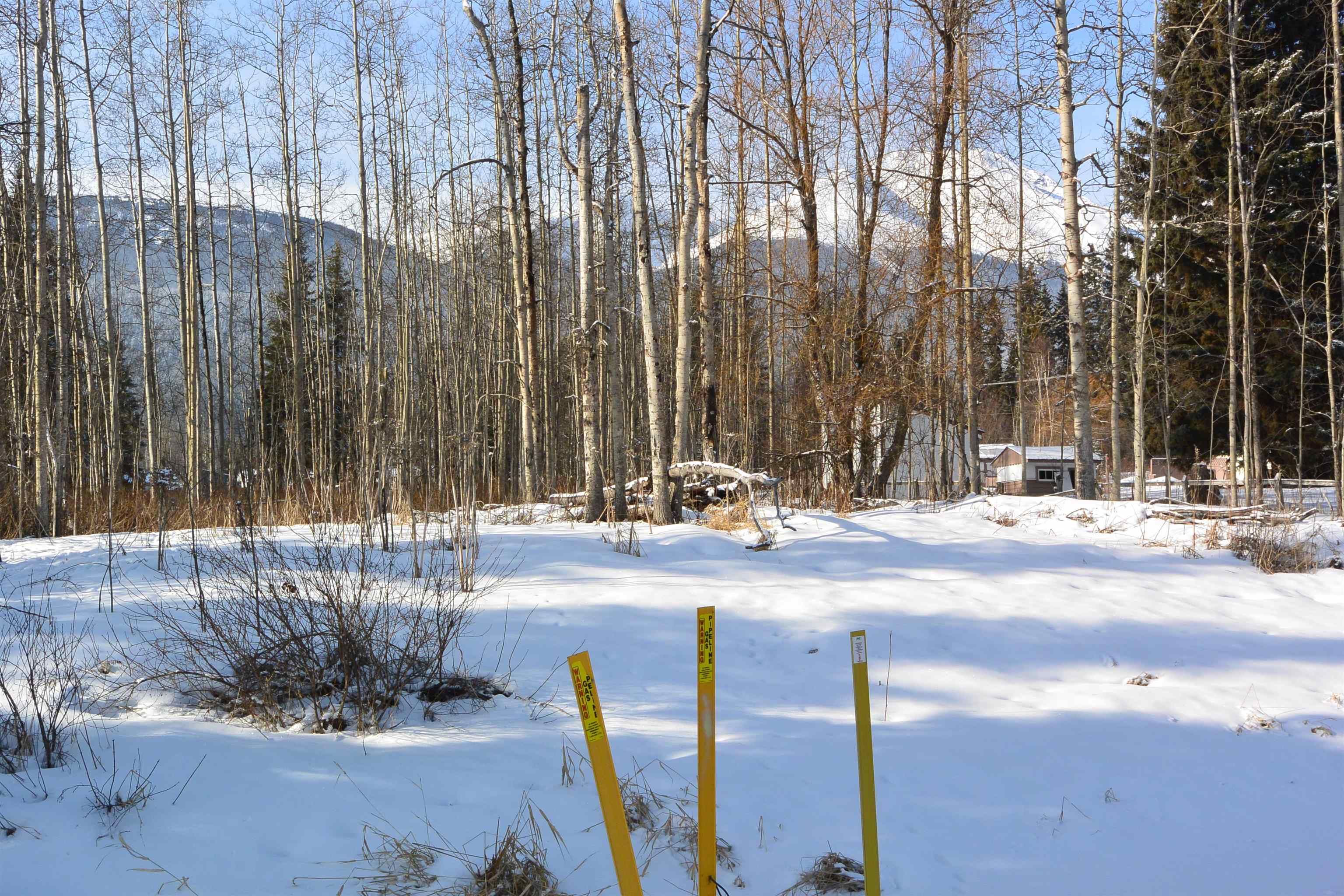 Main Photo: LOT 40-43 16 Highway in Smithers: Smithers - Rural Land for sale (Smithers And Area (Zone 54))  : MLS®# R2678651