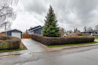 Photo 29: 4703 32 Avenue SW in Calgary: Glenbrook Detached for sale : MLS®# A2130087