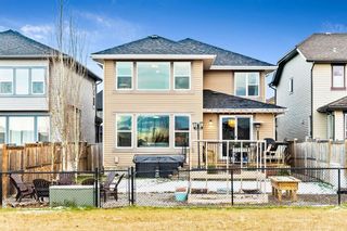 Photo 25: 4778 Elgin Avenue SE in Calgary: McKenzie Towne Detached for sale : MLS®# A1158152