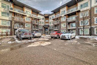 Main Photo: 2302 240 Skyview Ranch Road NE in Calgary: Skyview Ranch Apartment for sale : MLS®# A2116082