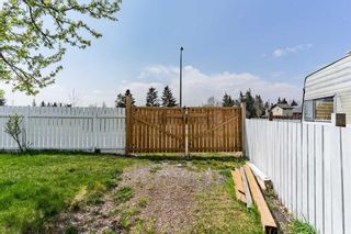 Photo 32: 244 Dovely Place SE in Calgary: Dover Detached for sale : MLS®# A2132664