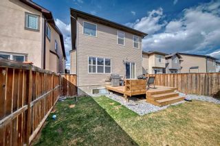 Photo 44: 50 Skyview Shores Crescent NE in Calgary: Skyview Ranch Detached for sale : MLS®# A2125037