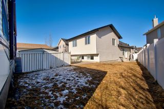 Photo 36: 163 Cranberry Way SE in Calgary: Cranston Detached for sale : MLS®# A1186721