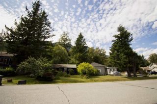 Photo 17: 41552 RAE Road in Squamish: Brackendale 1/2 Duplex for sale : MLS®# R2391557