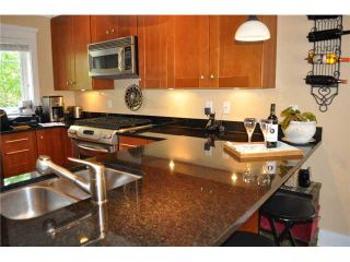 Photo 25: 223 E 17TH Street in North Vancouver: Central Lonsdale 1/2 Duplex for sale : MLS®# V891734