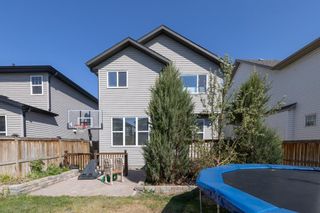 Photo 35: 45 Cranberry Avenue SE in Calgary: Cranston Detached for sale : MLS®# A1222060
