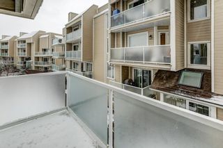 Photo 21: 304 3747 42 Street NW in Calgary: Varsity Apartment for sale : MLS®# A2018225
