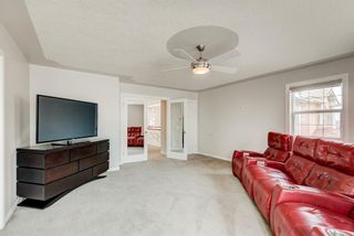 Photo 35: 265 Coral Shores Cape NE in Calgary: Coral Springs Detached for sale : MLS®# A1257571