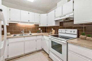 Photo 5: 102 333 Garry Crescent NE in Calgary: Greenview Apartment for sale : MLS®# A2122981