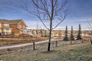 Photo 41: 709 428 Nolan Hill Drive NW in Calgary: Nolan Hill Row/Townhouse for sale : MLS®# A2096522