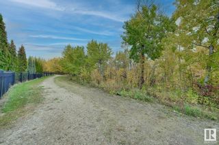 Photo 49: 1019 HOLLANDS Point in Edmonton: Zone 14 House for sale : MLS®# E4315970