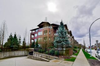Photo 19: 203 240 SALTER Street in New Westminster: Queensborough Condo for sale : MLS®# R2049933