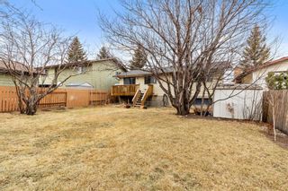 Photo 28: 99 Beaconsfield Rise NW in Calgary: Beddington Heights Detached for sale : MLS®# A1180894
