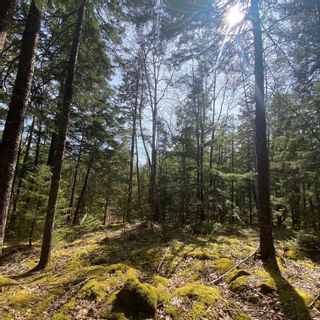 Photo 4: Lot 8 Old Trunk Highway 3 in Hebbs Cross: 405-Lunenburg County Vacant Land for sale (South Shore)  : MLS®# 202312885