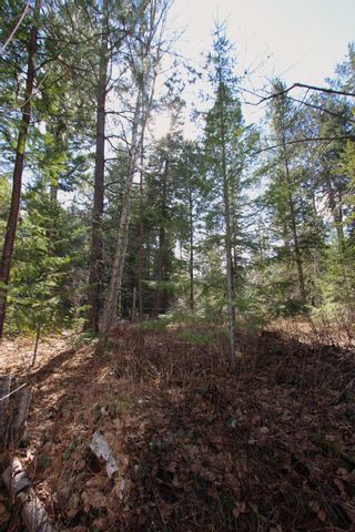 Photo 17: Lot B Zinck Road in Scotch Creek: Land Only for sale : MLS®# 10249220