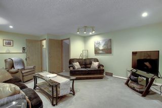 Photo 21: 305 Martinwood Place NE in Calgary: Martindale Detached for sale : MLS®# A1038589