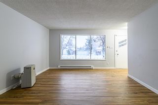 Photo 10: 102 LAKESHORE Road in Winnipeg: Waverley Heights Residential for sale (1L)  : MLS®# 202228087