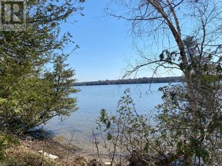 Photo 6: LOT 10 PINEWOOD BLVD in Kawartha Lakes: Vacant Land for sale : MLS®# X6727240