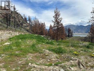 Photo 2: N/A DL3557S in Osoyoos: Vacant Land for sale : MLS®# 10312886