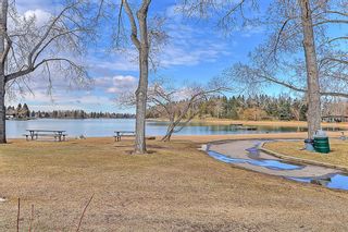 Photo 46: 2016 Lake Bonavista Drive SE in Calgary: Lake Bonavista Detached for sale : MLS®# A1207869