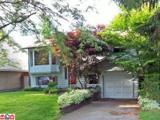Photo 1: 13245 64A Avenue in Surrey: West Newton House for sale in "Pioneer Park" : MLS®# F1119787