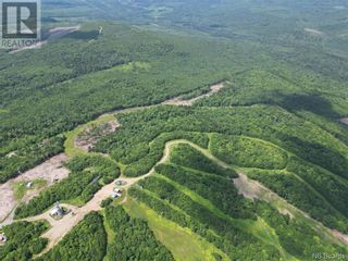 Photo 4: Lot 23-03 Crabbe Mountain in Central Hainesville: Vacant Land for sale : MLS®# NB092472
