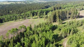 Photo 4: SW 40 Acres off Range Road 70 in Rural Bighorn No. 8, M.D. of: Rural Bighorn M.D. Residential Land for sale : MLS®# A1115931
