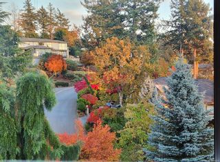 Photo 19: 4620 Boulderwood Dr in Saanich: SE Broadmead House for sale (Saanich East)  : MLS®# 960889