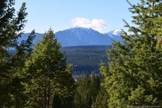 Photo 6: Lot 24 - 7045 WHITE TAIL LANE in Radium Hot Springs: Vacant Land for sale : MLS®# 2466390