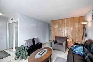 Photo 4: 28 Abbercove Drive SE in Calgary: Abbeydale Detached for sale : MLS®# A1240781