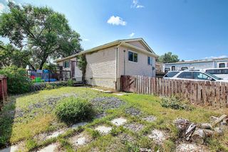 Photo 32: 51 Erin Park Close SE in Calgary: Erin Woods Detached for sale : MLS®# A1138830