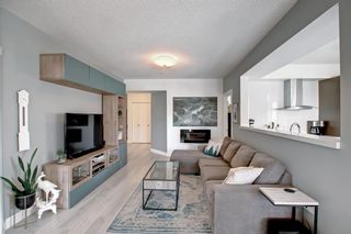 Photo 18: 303 838 19 Avenue SW in Calgary: Lower Mount Royal Apartment for sale : MLS®# A1210390