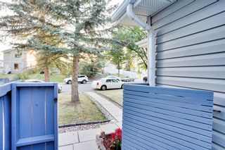 Photo 45: 28 Martinview Crescent NE in Calgary: Martindale Detached for sale : MLS®# A1252366