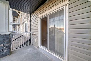 Photo 26: 1205 115 Prestwick Villas SE in Calgary: McKenzie Towne Apartment for sale : MLS®# A2130668