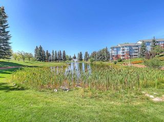 Photo 45: 2310 2310 Hawksbrow Point NW in Calgary: Hawkwood Apartment for sale : MLS®# A2122809