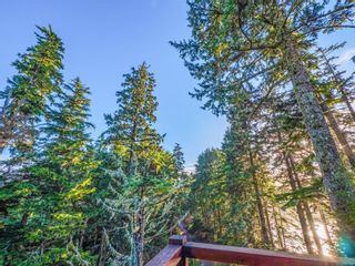 Photo 16: 330 Reef Point Rd in Ucluelet: PA Ucluelet Other for sale (Port Alberni)  : MLS®# 951582