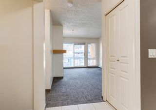 Photo 12: 238 30 Richard Court SW in Calgary: Lincoln Park Apartment for sale : MLS®# A1192977