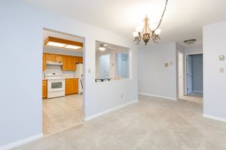 Photo 10: 112 19645 64 Avenue in Langley: Willoughby Heights Condo for sale : MLS®# R2877843