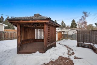 Photo 34: 148 Silver Springs Place NW in Calgary: Silver Springs Detached for sale : MLS®# A2012936