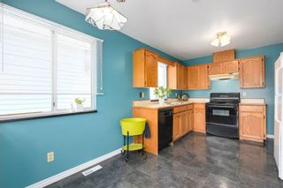 Photo 7: 20291 116B Avenue in Maple Ridge: Southwest Maple Ridge House for sale : MLS®# R2271520