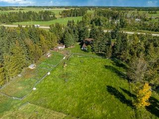 Photo 50: 384040 Highway 22 Highway: Rural Clearwater County Detached for sale : MLS®# A2115571