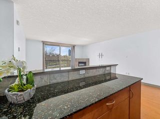 Photo 13: 401 1420 Memorial Drive NW in Calgary: Hillhurst Apartment for sale : MLS®# A2127967
