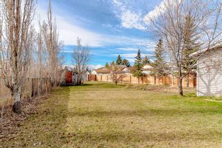 Photo 36: 136 Erin Ridge Road SE in Calgary: Erin Woods Detached for sale : MLS®# A2124973