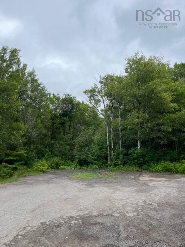Main Photo: lot 7 Micmac Lane in Springhill Junction: 102S-South of Hwy 104, Parrsboro Vacant Land for sale (Northern Region)  : MLS®# 202318118