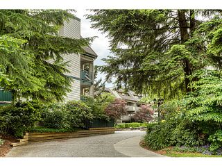 Photo 19: 217 1200 PACIFIC Street in Coquitlam: North Coquitlam Condo for sale in "GLENVIEW MANOR" : MLS®# V1070671