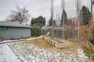 Photo 46: 2708 Lionel Crescent SW in Calgary: Lakeview Detached for sale : MLS®# A1206892