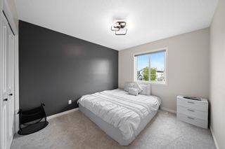 Photo 26: 16 Skyview Springs Crescent NE in Calgary: Skyview Ranch Detached for sale : MLS®# A1206315